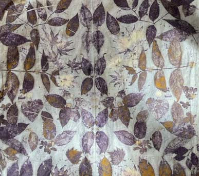 Adventures in Botanical Printing