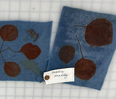 Stitching Botanical Prints in Ohio with Sue and Mary