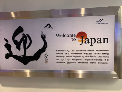 Adventures in Japan: 2019 Trip Part II