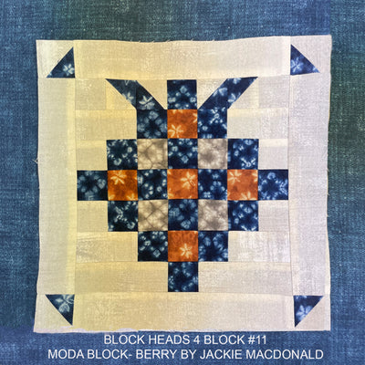 Moda Blockheads 4 Catch-Up - Blocks #11 & #12